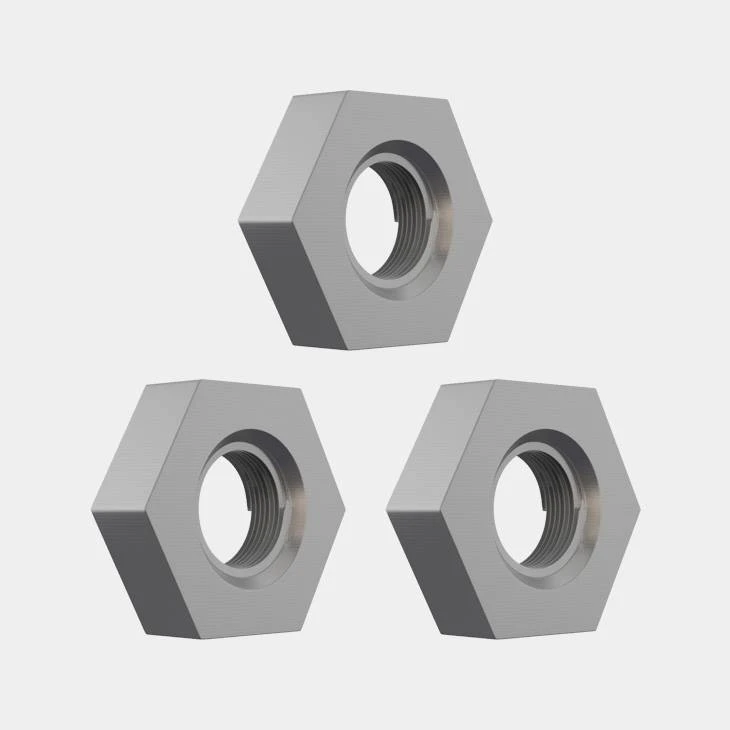 Stainless Hex Nuts